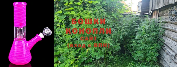 бошки Алексин