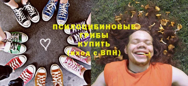 бошки Алексин