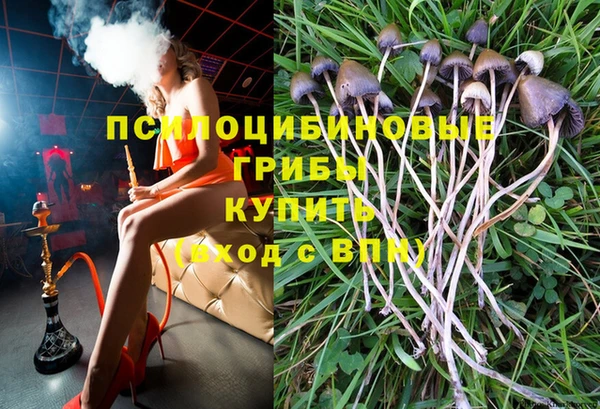 Альфа ПВП Алексеевка