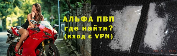 амф Новозыбков