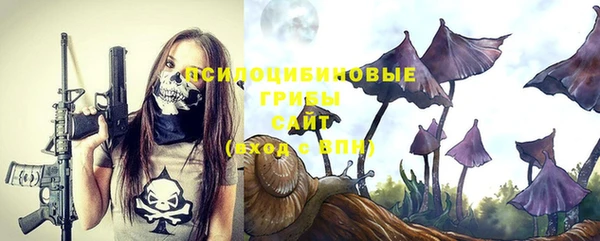 a pvp Алзамай
