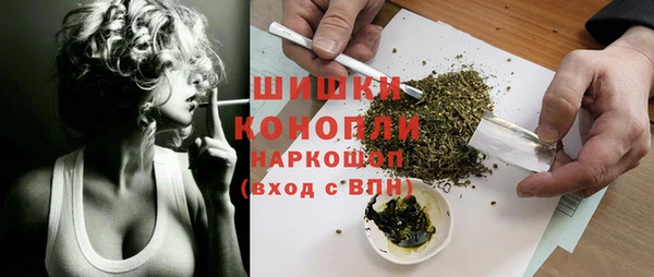 амф Новозыбков