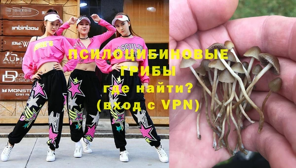 a pvp Алзамай